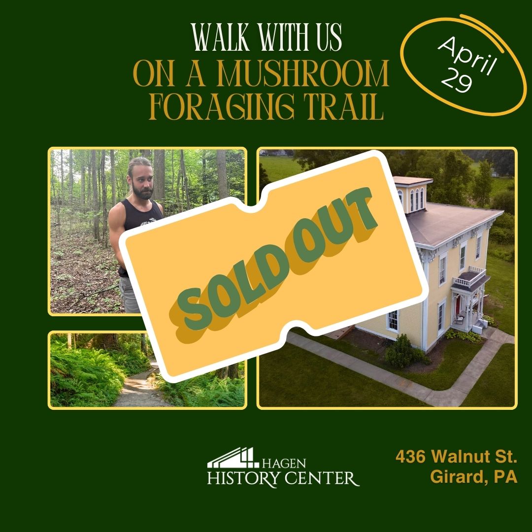 cooking with honey 5